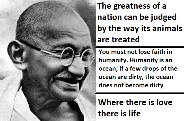 mahatma gandhi quotes on love humanity faith care for animals and living beings